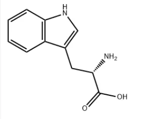 L - triptophan CAS No.:73-22-3